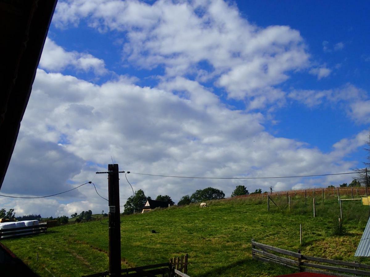 Homestay Goscinne U Elzbiety *