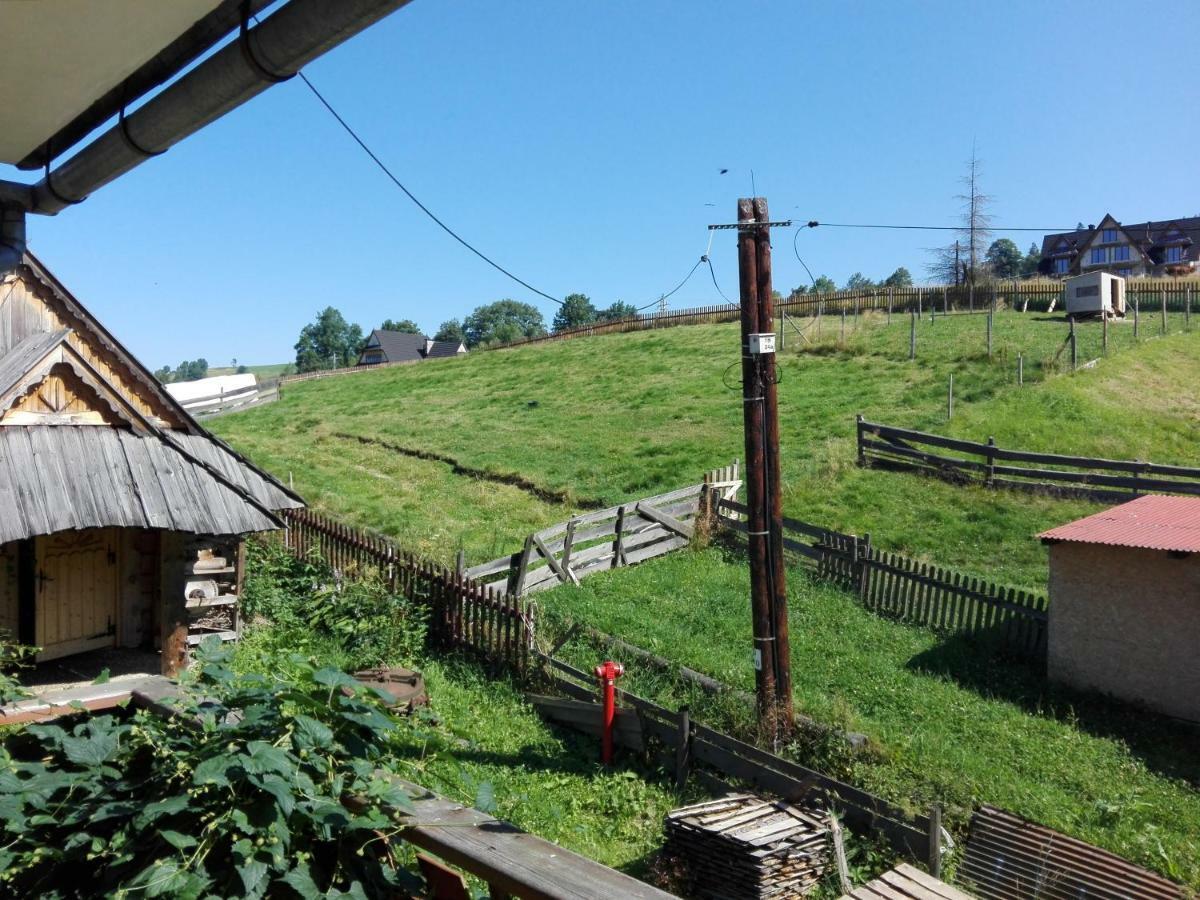 Homestay Goscinne U Elzbiety *