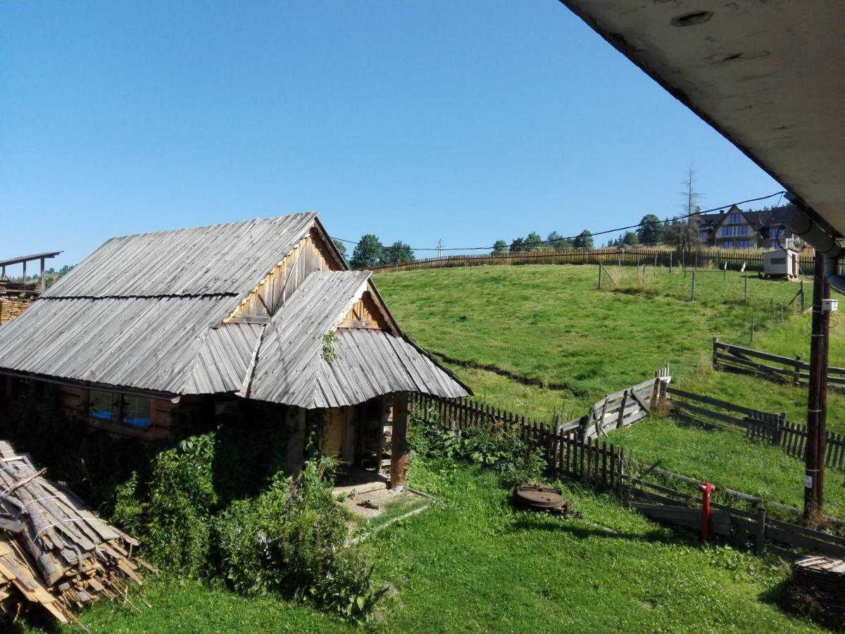 Homestay Goscinne U Elzbiety